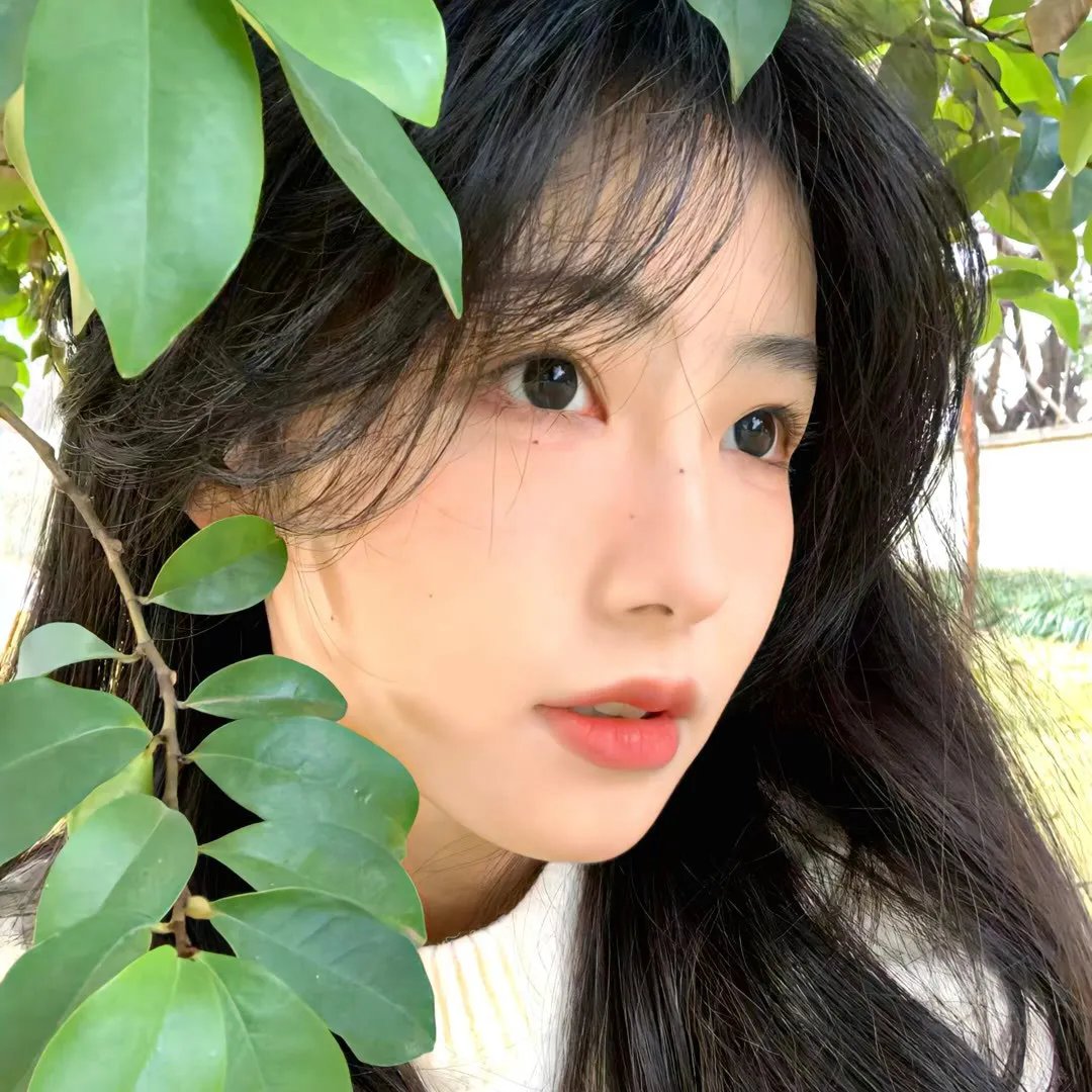 午夜蕾丝